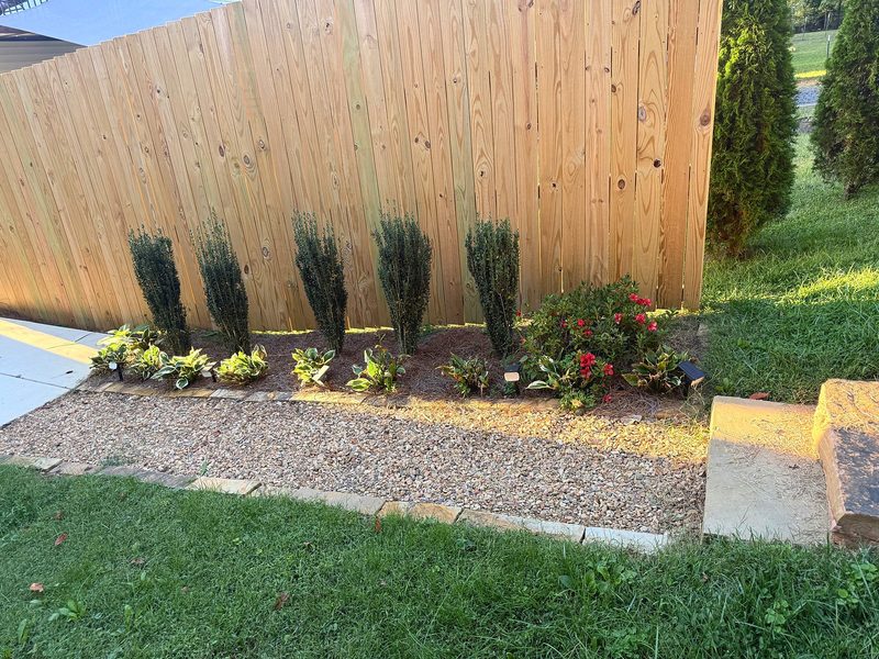 A fence-side bed with upright shrubs, low foliage, flowers and pine straw beside a gravel strip.